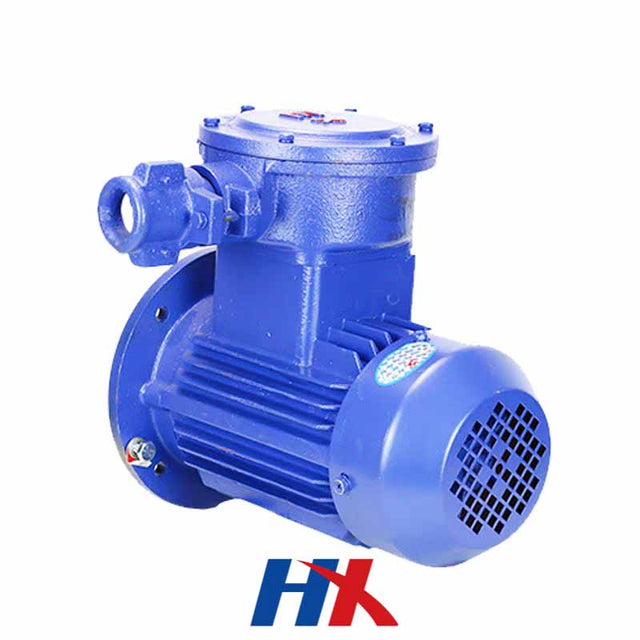 YBX Explosion-Proof Three-Phase Electric Motor