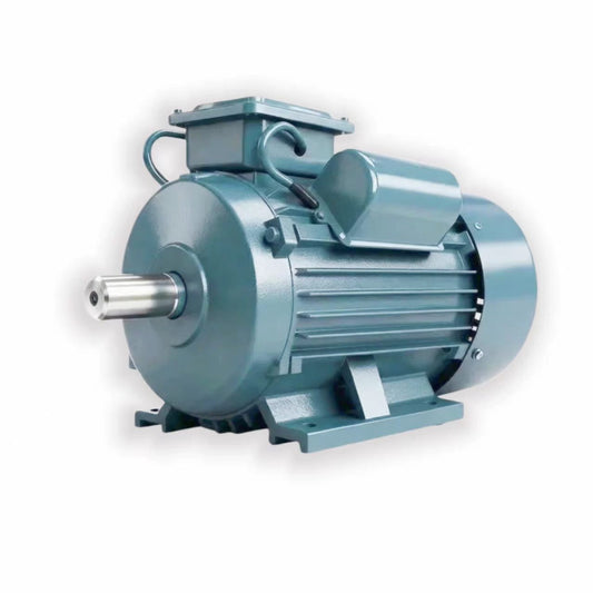 Single phase electric motor